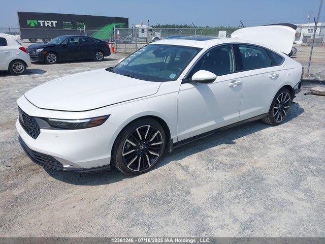 1HGCY2F82PA800741 Honda lfc5