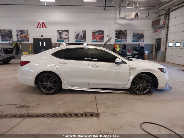 19UUB1F65LA800208 Acura k24w7