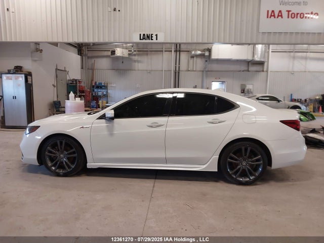 19UUB1F65LA800208 Acura k24w7
