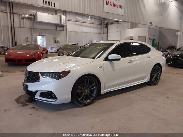 19UUB1F65LA800208 Acura k24w7
