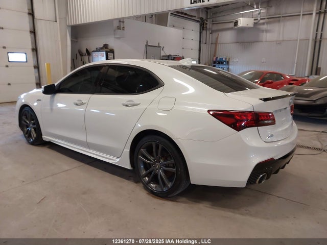 19UUB1F65LA800208 Acura k24w7