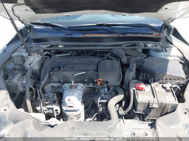 19UUB1F55HA800353 Acura k24w7