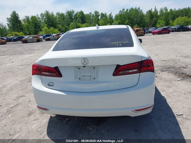 19UUB1F55HA800353 Acura k24w7