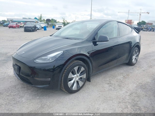 Tesla Model Y 2024 7SAYGDEE8RF043433 Image 2