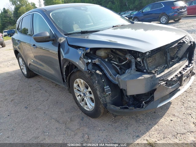 1FMCU9G62MUA35780 Ford dragon di tc