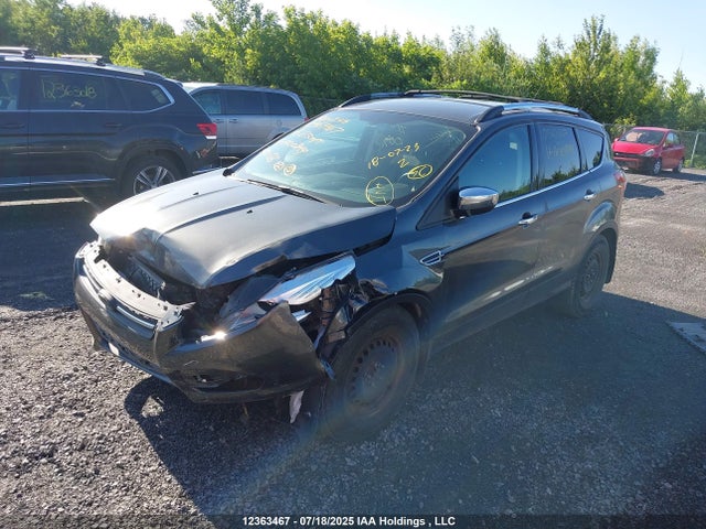 1FMCU0GX5FUA00349 Ford Escape