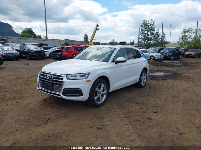 WA1BNAFY6L2022553 Audi Q5