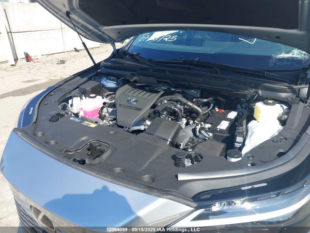 Lexus t24a-fts 2024 2T2BAMCA1RC082109 Image 10