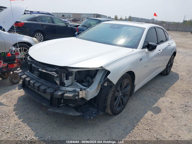 19UUB6F57PA800561 Acura k20c6