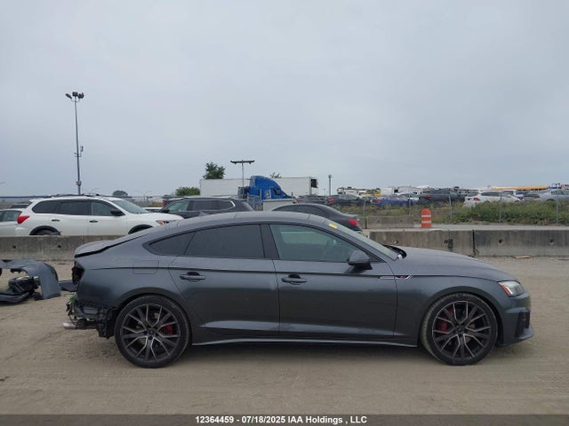 Продаж на аукціоні авто 2020 Audi S5 3.0t Technik, vin: WAUB4CF5XLA002741, номер лоту: 12364459