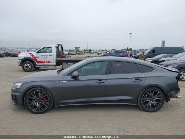 Продаж на аукціоні авто 2020 Audi S5 3.0t Technik, vin: WAUB4CF5XLA002741, номер лоту: 12364459