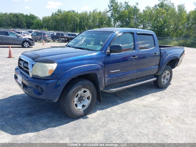 12364978 :رقم المزاد ، 5TELU42N55Z079240 vin ، 2005 Toyota Tacoma Base V6 مزاد بيع