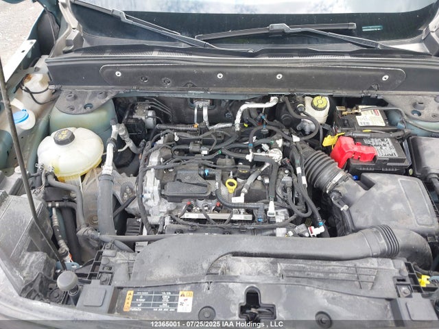 3FMCR9C69MRA81766 Ford dragon