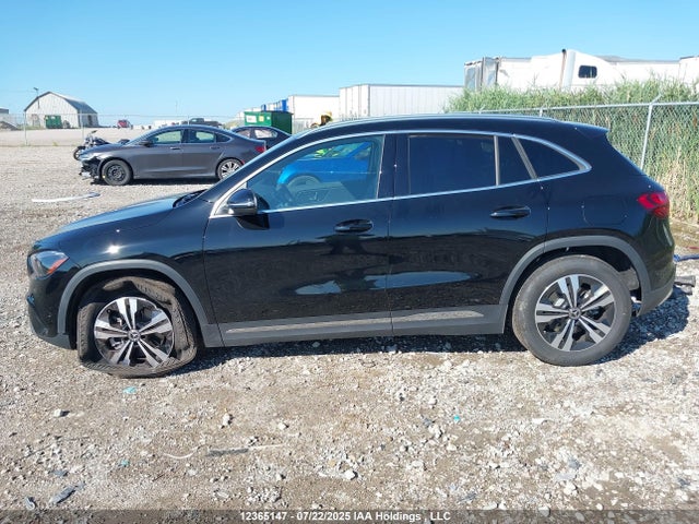 W1N4N4HBXTJ765613 Mercedes-Benz m260