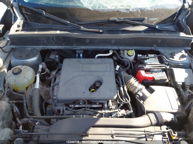 3FMCR9A68MRA25854 Ford dragon