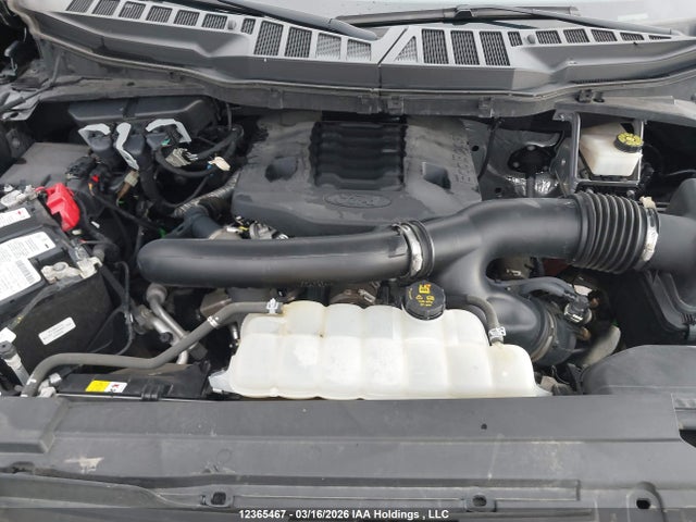 12365467 :رقم المزاد ، 1FTFW1E82NFB49057 vin ، 2022 Ford F-150 Xlt مزاد بيع