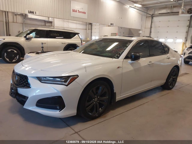 19UUB6F53MA801363 Acura k20c6