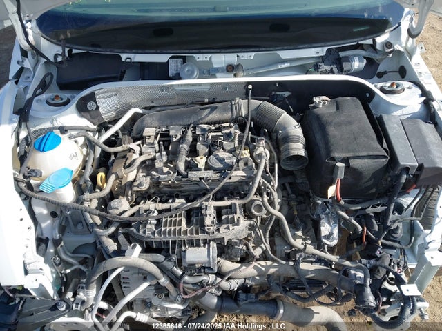 3VWJ07AT3GM607245 Volkswagen Beetle