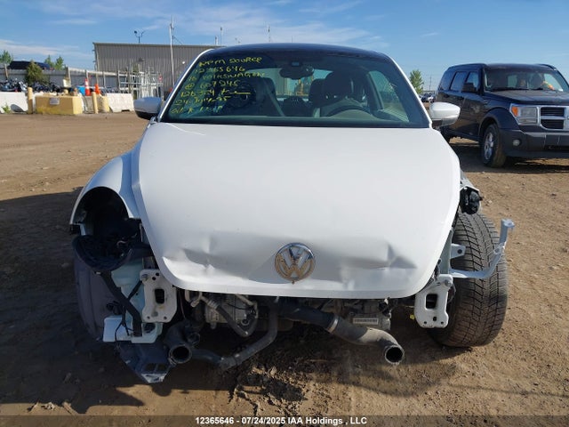 3VWJ07AT3GM607245 Volkswagen Beetle