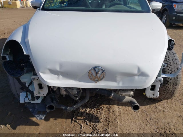3VWJ07AT3GM607245 Volkswagen Beetle