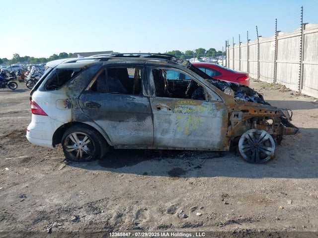 Mercedes-Benz Ml-Class 2015 4JGDA2EB0FA584693 Image 12