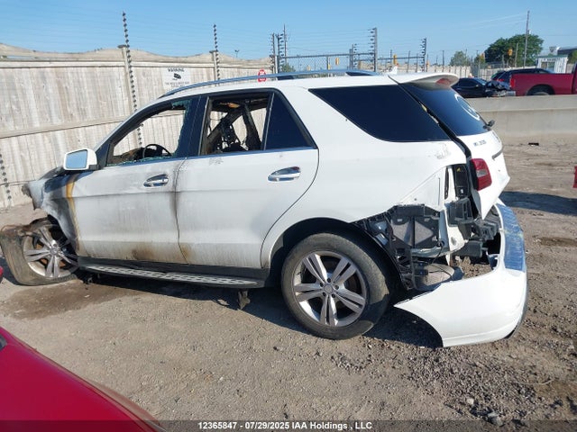 Mercedes-Benz Ml-Class 2015 4JGDA2EB0FA584693 Image 13