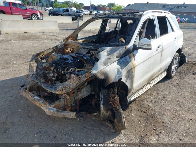 Mercedes-Benz Ml-Class 2015 4JGDA2EB0FA584693 Image 2