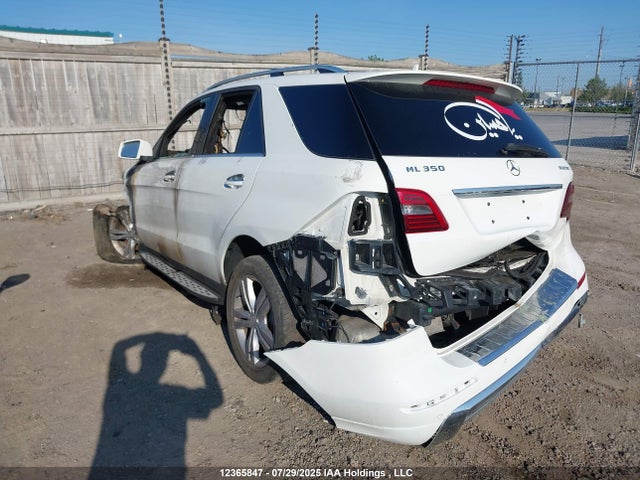 Mercedes-Benz Ml-Class 2015 4JGDA2EB0FA584693 Image 3