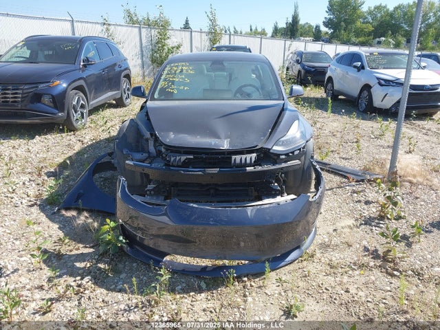 5YJ3E1EA8PF557336 Tesla 2023