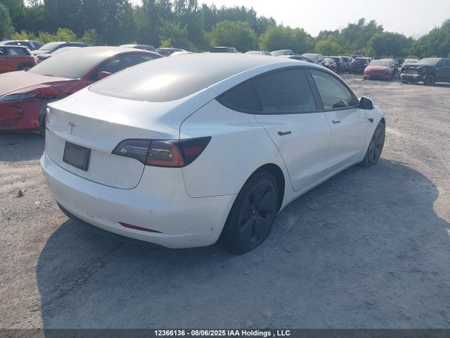 5YJ3E1EAXNF346071 Tesla 2022