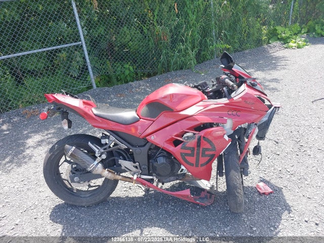 Kawasaki Ninja 300 2017 JKAEX8A12HDA33445 Image 13