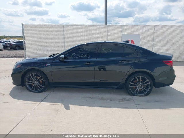 Acura j35y6 2019 19UUB3F68KA800455 Image 15
