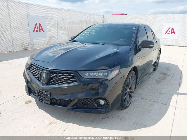 Acura j35y6 2019 19UUB3F68KA800455 Image 2