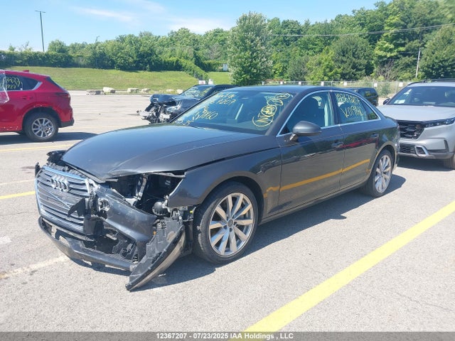 WAUANAF4XKN019860 Audi 2019