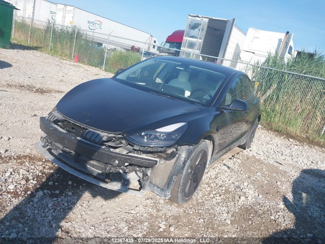 Tesla 2022 2022 5YJ3E1EB9NF339444 Image 2