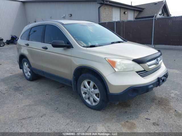 Продажа на аукционе авто 2007 Honda Cr-v, vin: 5J6RE48507L811901, номер лота: 12368093