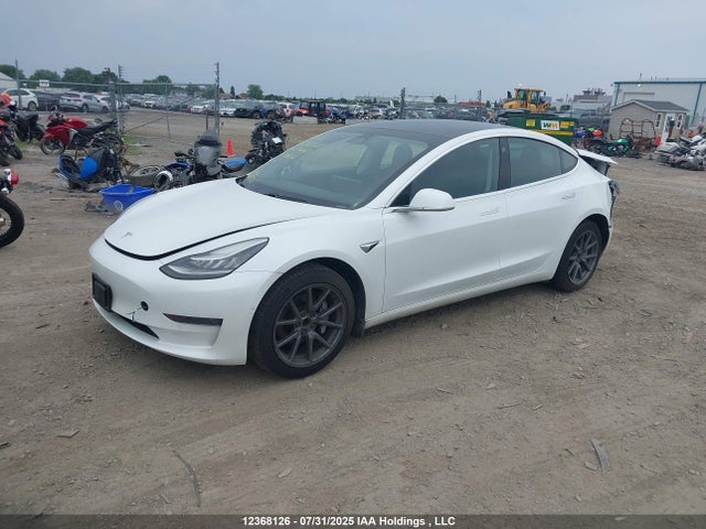 Tesla MODEL 3 2020 5YJ3E1EA4LF718646 Image 2