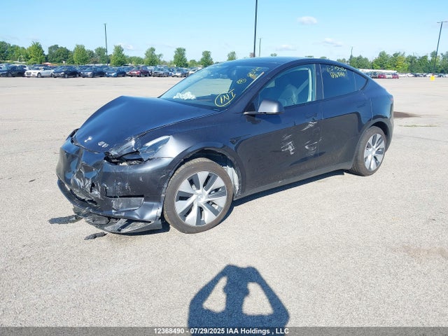 7SAYGDED4RF079904 Tesla 2024