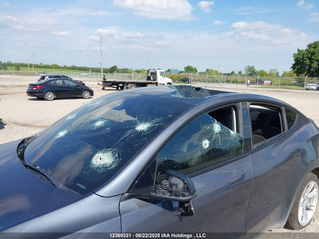 7SAYGDEF3PF586369 Tesla Model Y