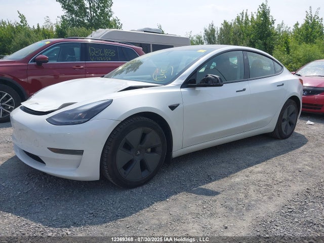 Tesla 2021 2021 5YJ3E1EA8MF988755 Image 2
