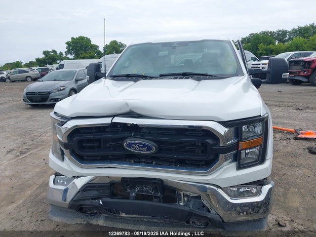 Ford 5.0l-4v 2023 1FTFW1E53PKE87633 Image 12