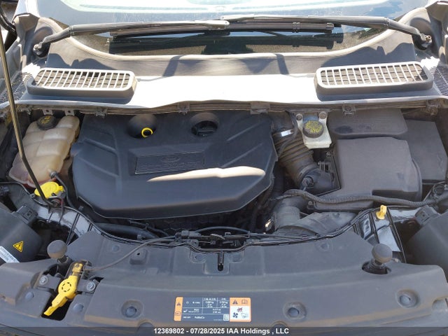 1FMCU9J92FUA00484 Ford Escape