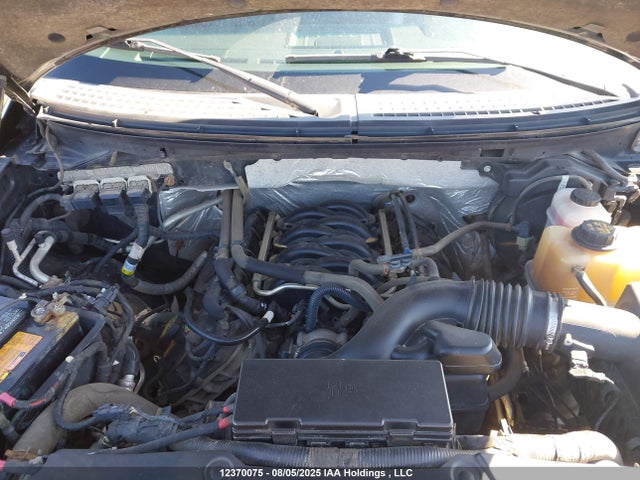 Aukcja sprzedaży 2011 Ford F150 Supercrew, vin: 1FTFW1EF7BFB67516, numer aukcji: 12370075
