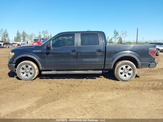 Aukcja sprzedaży 2011 Ford F150 Supercrew, vin: 1FTFW1EF7BFB67516, numer aukcji: 12370075