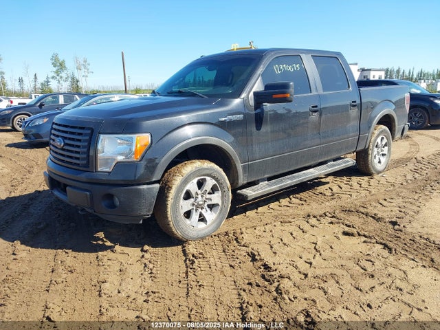 Aukcja sprzedaży 2011 Ford F150 Supercrew, vin: 1FTFW1EF7BFB67516, numer aukcji: 12370075