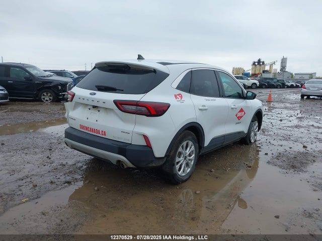 2023 Ford Escape Active მანქანა იყიდება აუქციონზე, vin: 1FMCU9GN1PUB37406, აუქციონის ნომერი: 12370529