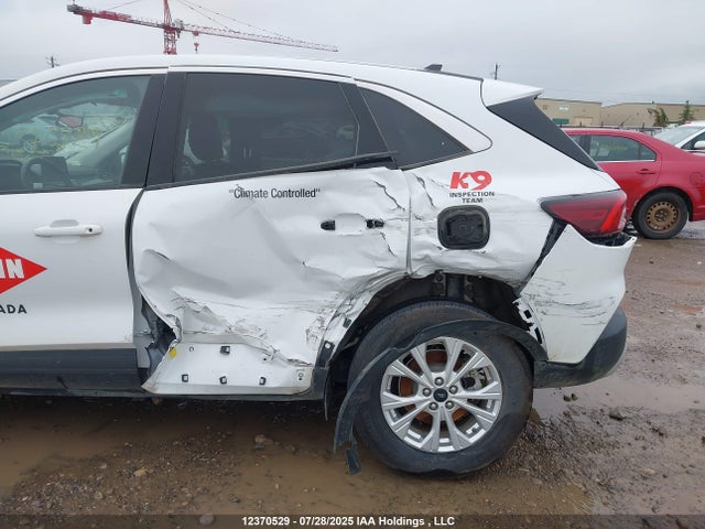2023 Ford Escape Active მანქანა იყიდება აუქციონზე, vin: 1FMCU9GN1PUB37406, აუქციონის ნომერი: 12370529