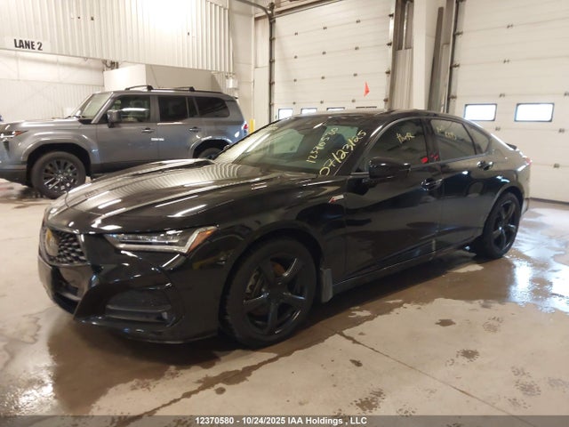 19UUB6F53NA801039 Acura k20c6