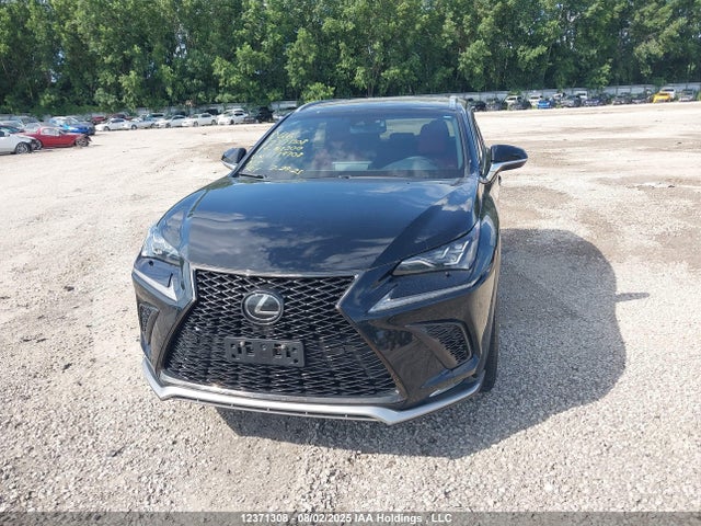 Lexus 8ar-fts 2019 JTJBARBZ1K2179708 Image 12