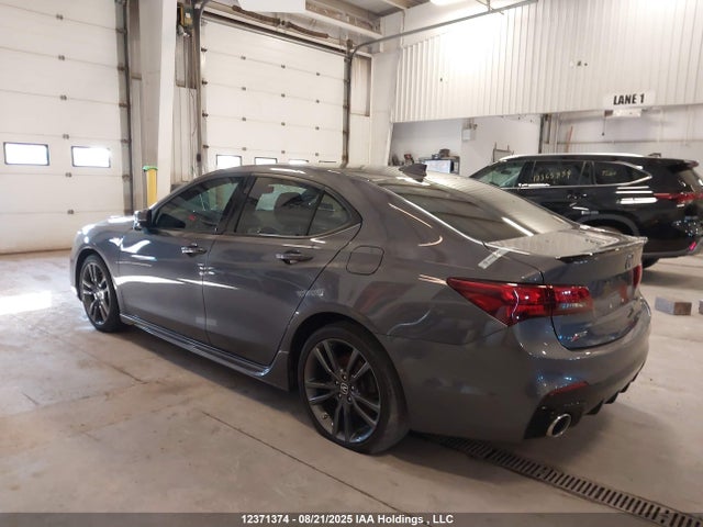 19UUB1F66LA800850 Acura k24w7